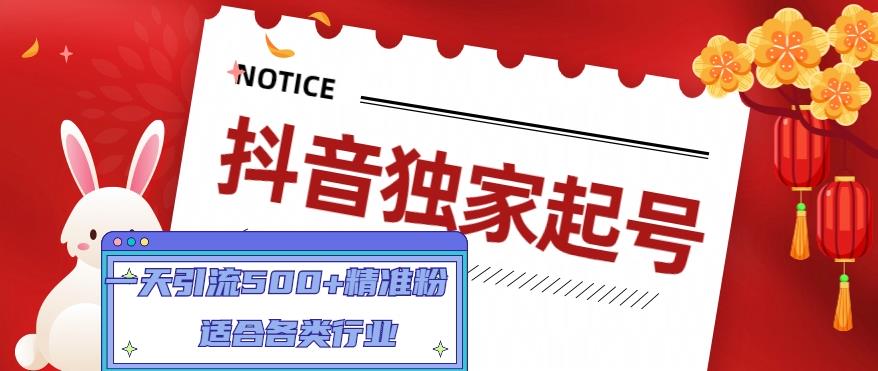 抖音独家起号，一天引流500+精准粉，适合各类行业（9节视频课）_泡桐学堂