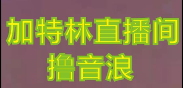 抖音加特林直播间搭建技术，抖音0粉开播，暴力撸音浪，2023新口子，每天800+【素材+详细教程】_泡桐学堂