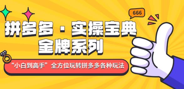 拼多多·实操宝典：金牌系列“小白到高手”带你全方位玩转拼多多各种玩法_泡桐学堂