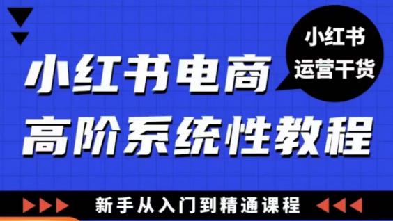 小红书电商高阶系统教程，新手从入门到精通系统课_泡桐学堂