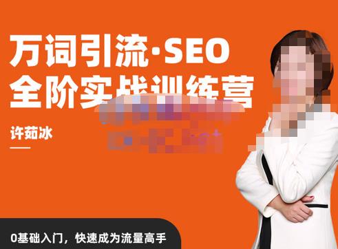 许茹冰·万词引流-SEO全阶实战训练营，0基础入门，快速成为流量高手_泡桐学堂