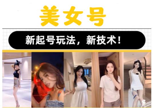 2023抖音快手短视频美女号课程制作玩法教程，美女号搬运新起号玩法，新技术（素材+教程）_泡桐学堂