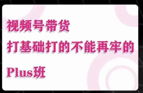 大播汇·视频号带货Puls班，视频号底层逻辑，起号自然流鱼塘等玩法_泡桐学堂