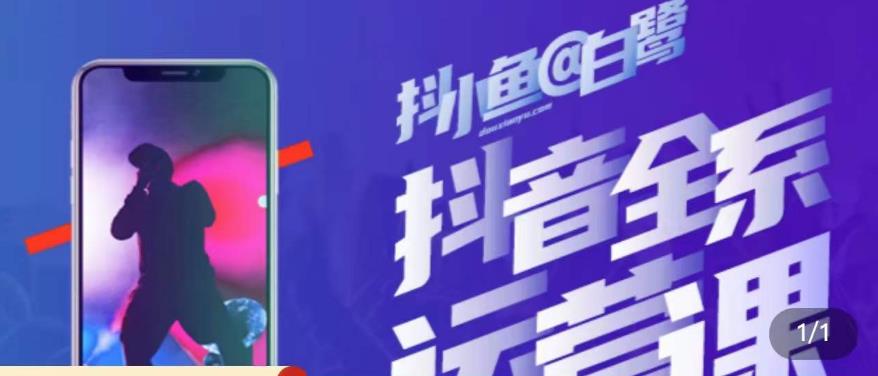 白鹭·主播内训营，运营主播话术起号进阶能力提升_泡桐学堂