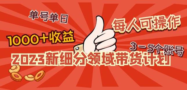 2023新细分领域带货计划：单号单日1000+收益不难，每人可操作3-5个账号_泡桐学堂