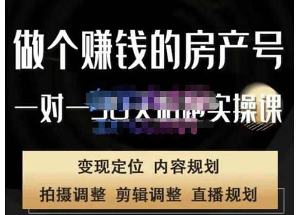 刘广标·同城房产号线上陪跑课，拍摄、剪辑、写文案、直播，做一个具有潜力价值的房产号_泡桐学堂