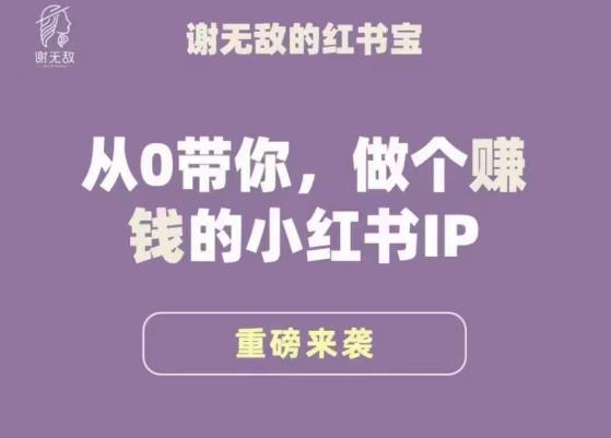 谢无敌·小红书运营大宝典，从0带你做个赚钱的小红书IP_泡桐学堂