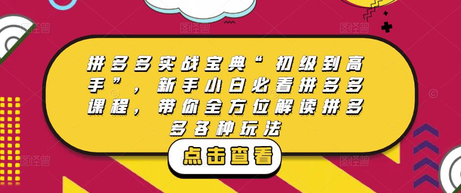 拼多多实战宝典“初级到高手”，新手小白必看拼多多课程，带你全方位解读拼多多各种玩法_泡桐学堂
