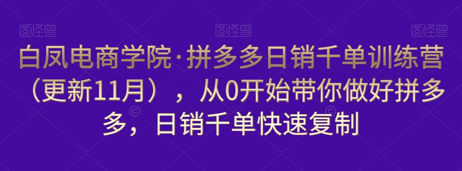 白凤电商学院·拼多多日销千单训练营，从0开始带你做好拼多多，日销千单快速复制（更新知2023年3月）_泡桐学堂