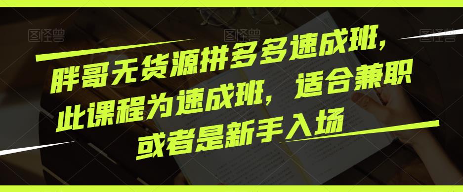 胖哥无货源拼多多速成班，此课程为速成班，适合兼职或者是新手入场_泡桐学堂