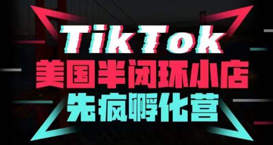 疯人院·TikTok美国半闭环小店孵化营，抢占TikTok美国蓝海市场，开店、运营、带货、投流全实操_泡桐学堂