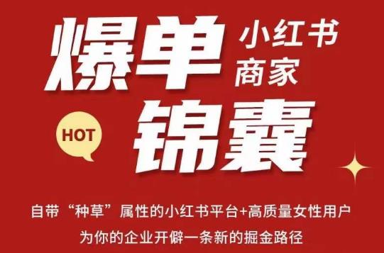 无畏·小红书商家爆单锦囊，掌握小红书各大规则，快速精准抢占行业和市场_泡桐学堂
