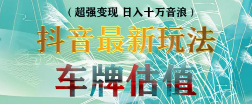 抖音最新无人直播变现直播车牌估值玩法项目，轻松日赚几百+【详细玩法教程】_泡桐学堂