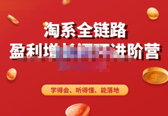 淘系全链路盈利增长闭环进阶营，融合全店动销，学得会、听得懂、能落地！_泡桐学堂