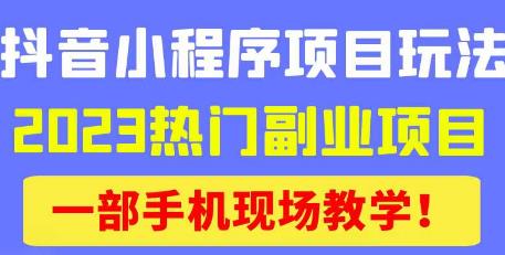 抖音小程序9.0新技巧，2023热门副业项目，动动手指轻松变现_泡桐学堂