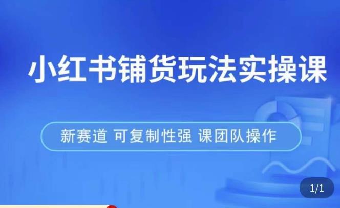 小红书铺货玩法实操课，流量大，竞争小，非常好做，新赛道，可复制性强，可团队操作_泡桐学堂