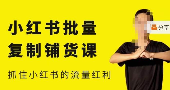 张宾·小红书批量复制铺货课，小红书0-1快速起号变现玩法，抓住小红书的流量红利（更新2023年3月）_泡桐学堂