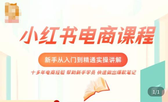 小红书电商新手入门到精通实操课，从入门到精通做爆款笔记，开店运营_泡桐学堂