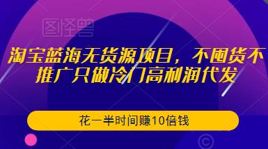 淘宝蓝海无货源项目，不囤货不推广只做冷门高利润代发，花一半时间赚10倍钱_泡桐学堂