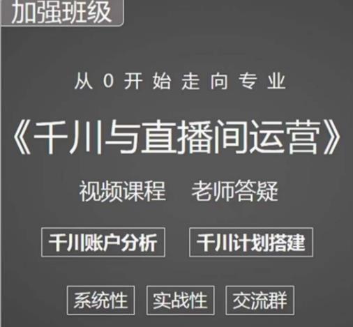 阳光哥·千川图文与直播间运营，从0开始走向专业，包含千川短视频图文、千川直播间、小店随心推_泡桐学堂