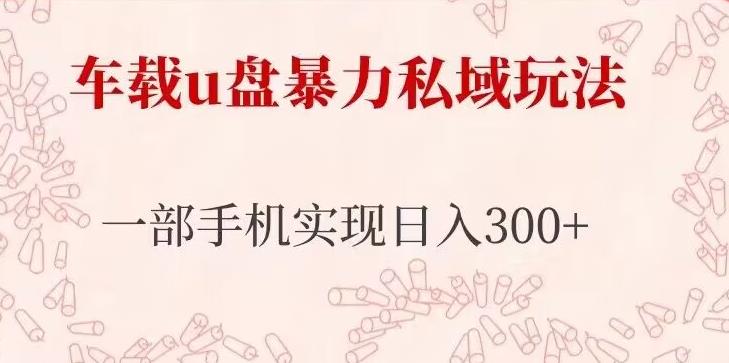 车载u盘暴力私域玩法，长期项目，仅需一部手机实现日入300+_泡桐学堂