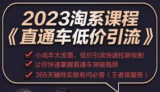 2023直通车低价引流玩法课程，小成本大流量，低价引流快速拉新收割，让你快速掌握直通车突破瓶颈_泡桐学堂