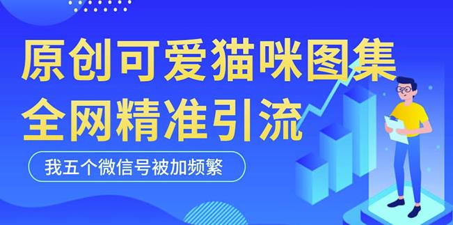 黑科技纯原创可爱猫咪图片，全网精准引流，实操5个VX号被加频繁_泡桐学堂
