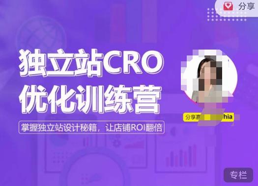 独立站CRO优化训练营，掌握独立站设计秘籍，打造高转化的独立站，让店铺ROI翻倍_泡桐学堂