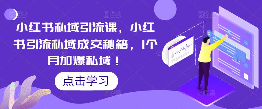 小红书私域引流课，小红书引流私域成交秘籍，1个月加爆私域！_泡桐学堂
