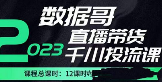 数据哥2023直播电商巨量千川付费投流实操课，快速掌握直播带货运营投放策略_泡桐学堂