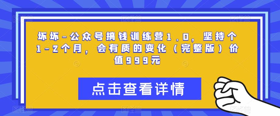坏坏-公众号搞钱训练营1.0，坚持个1-2个月，会有质的变化（完整版）价值999元_泡桐学堂