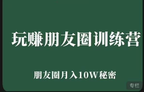 玩赚朋友圈系统课，朋友圈月入10W的秘密，​7天系统图文课程_泡桐学堂