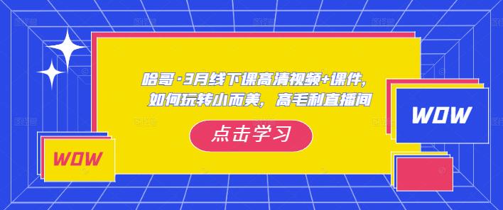 哈哥·3月线下实操课高清视频+课件，如何玩转小而美，高毛利直播间_泡桐学堂