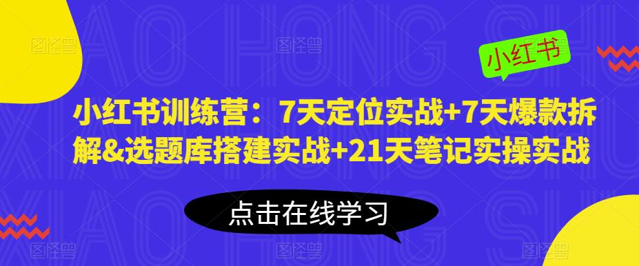 小红书训练营：7天定位实战+7天爆款拆解&选题库搭建实战+21天笔记实操实战_泡桐学堂