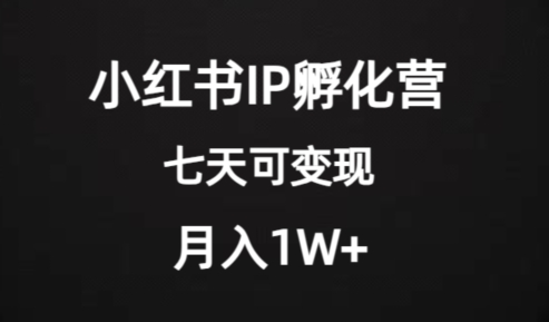 价值2000+的小红书IP孵化营项目，超级大蓝海，七天即可开始变现，稳定月入1W+_泡桐学堂