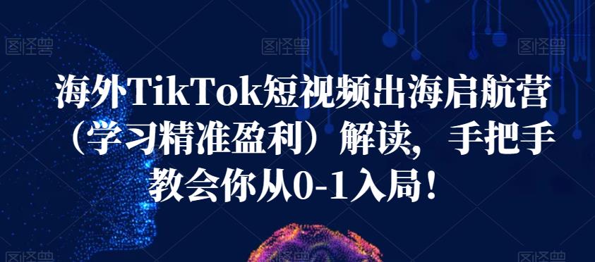 海外TikTok短视频出海启航营（学习精准盈利）解读，手把手教会你从0-1入局！_泡桐学堂
