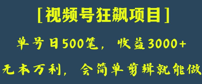 日收款500笔，纯利润3000+，视频号狂飙项目，会简单剪辑就能做【揭秘】_泡桐学堂