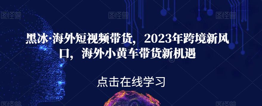 黑冰·海外短视频带货，2023年跨境新风口，海外小黄车带货新机遇_泡桐学堂