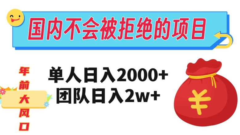 在国内不怕被拒绝的项目，单人日入2000，团队日入20000+【揭秘】_泡桐学堂