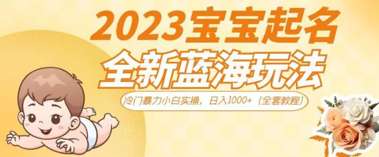 2023宝宝起名全新蓝海玩法，冷门暴力小白实操，日入1000+（全套教程）【揭秘】_泡桐学堂