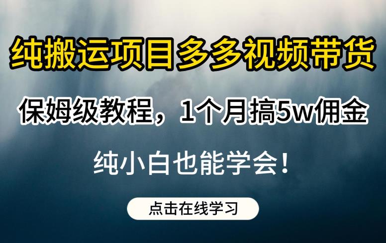 纯搬运项目多多视频带货保姆级教程，1个月搞5w佣金，纯小白也能学会【揭秘】_泡桐学堂