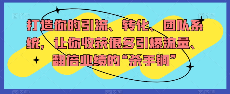 打造你的引流、转化、团队系统，让你收获很多引爆流量、翻倍业绩的“杀手锏”_泡桐学堂