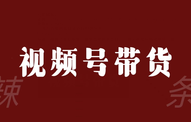 视频号带货联盟，赚信息差的带货钱，只需手机随时随地都可以做！_泡桐学堂