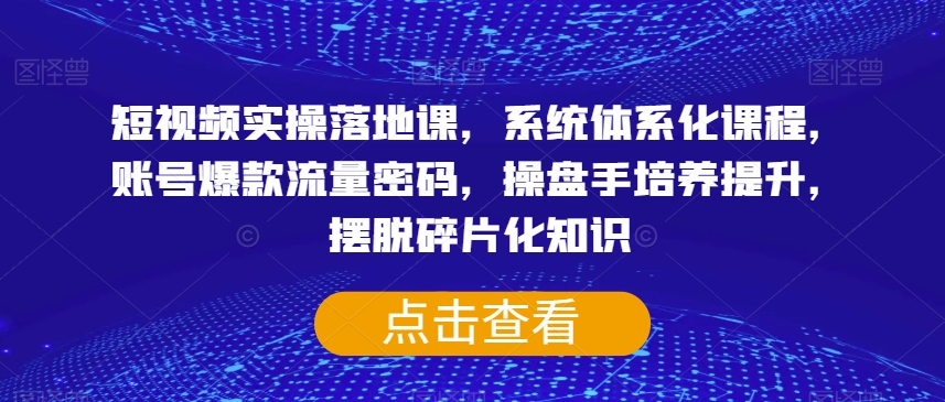 短视频实操落地课，系统体系化课程，账号爆款流量密码，操盘手培养提升，摆脱碎片化知识_泡桐学堂
