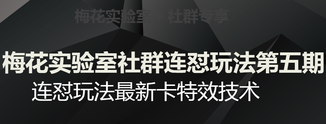 梅花实验室社群连怼玩法第五期，视频号连怼玩法最新卡特效技术_泡桐学堂