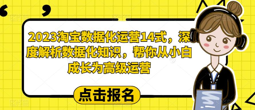 2023淘宝数据化运营14式，深度解析数据化知识，帮你从小白成长为高级运营_泡桐学堂