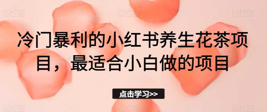 冷门暴利的小红书养生花茶项目，最适合小白做的项目【揭秘】_泡桐学堂