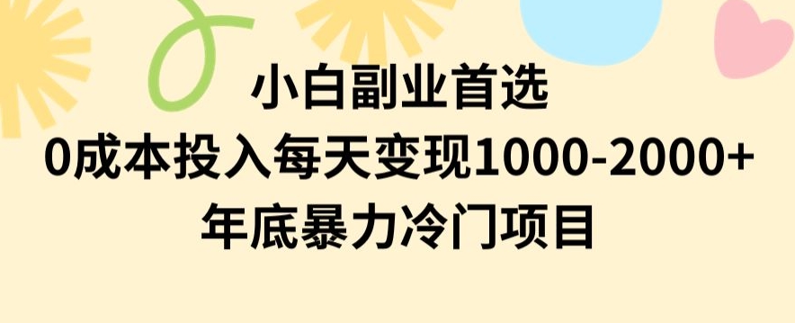 小白副业首选，0成本投入，每天变现1000-2000年底暴力冷门项目【揭秘】_泡桐学堂