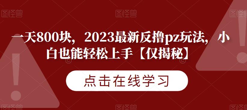 一天800块，2023最新反撸pz玩法，小白也能轻松上手【仅揭秘】_泡桐学堂