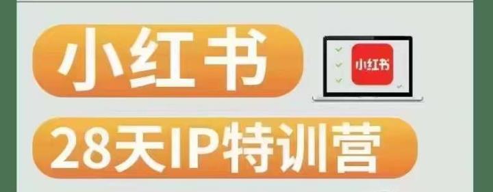 28天小红书博主IP特训营（第3期）实战经验，快速涨粉，迅速变现_泡桐学堂